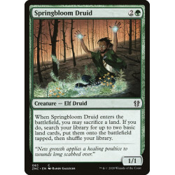 Springbloom Druid // Druida...